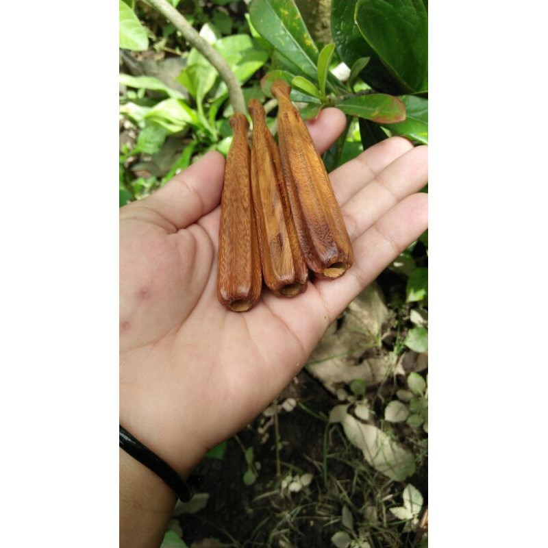 

once belimbing kelor emas