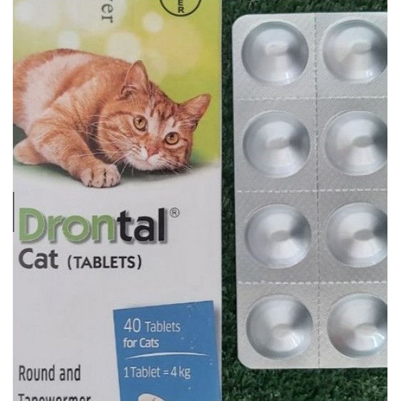 DRONTAL CAT / drontal cat OBAT CACING KUCING