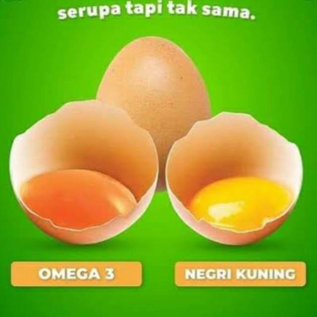 

Telur Omega 3 kaya akan Gizi baik untuk pertumbuhan otak anak