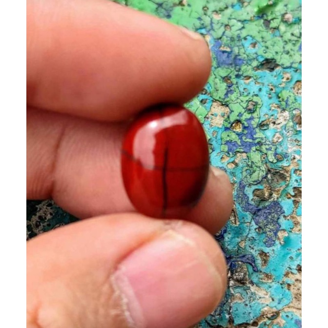 Tapak jalak merah pedas