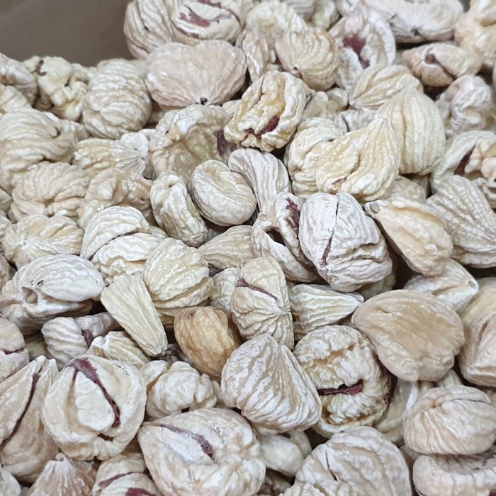 

Siap Krim Lakci/ Chestnut Kering/ Dried Chestnut / Kacang Berangan