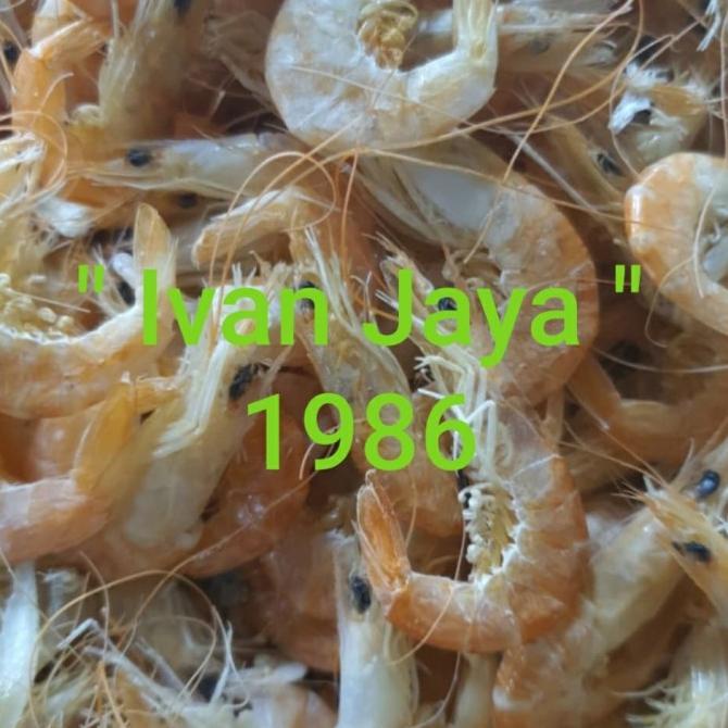 

[COD] Udang Manis medan 500gram [COD]