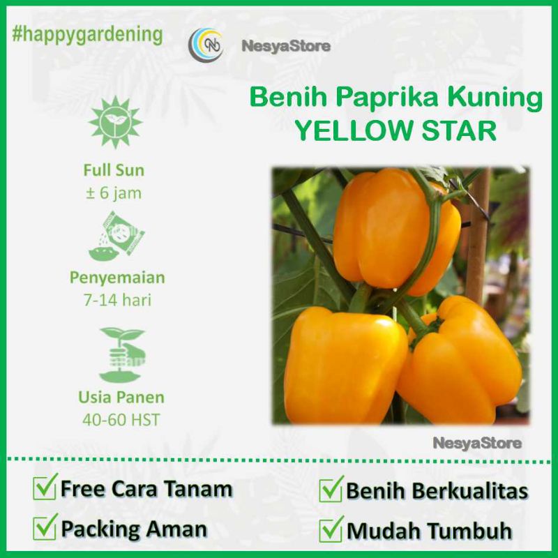 2 Benih Biji Paprika Kuning YELLOW STAR F1