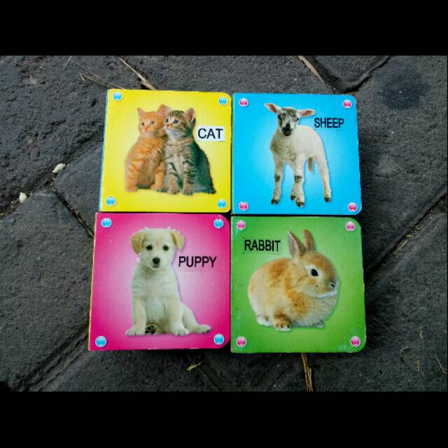 Boardbook anak, boardbook balita boardbook animals. Boardbook pengenalan hewan.