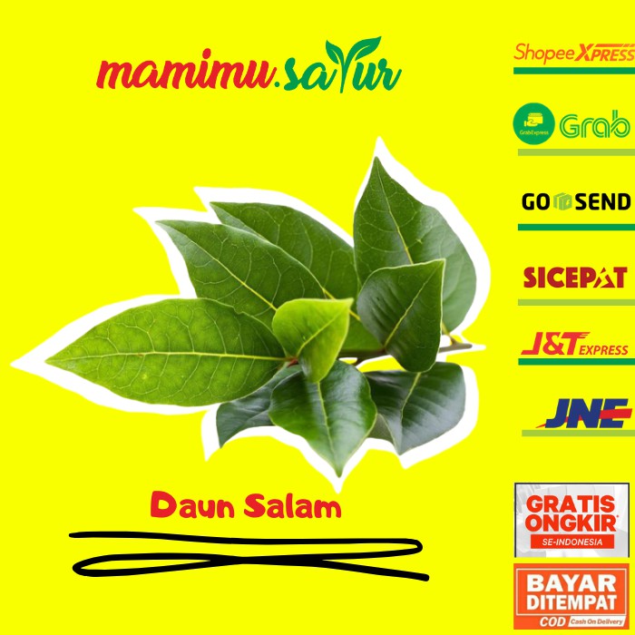 

DAUN SALAM BUMBU DAPUR BUMBU REMPAH SAYUR SAYURAN SEGAR FRESH