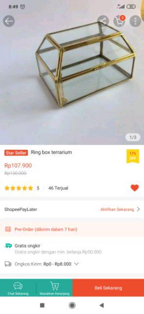 Ring Box Terrarium