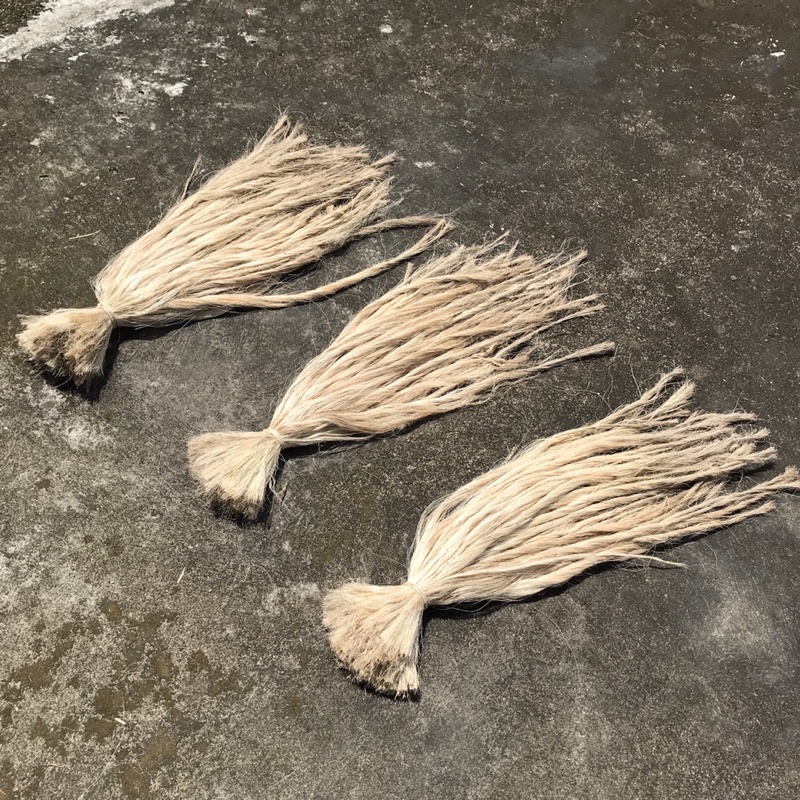 Serat Sisal / Serat Sisalana / Serat Agave Sisalana / Serat Nanas Warna Coklat Kehitaman