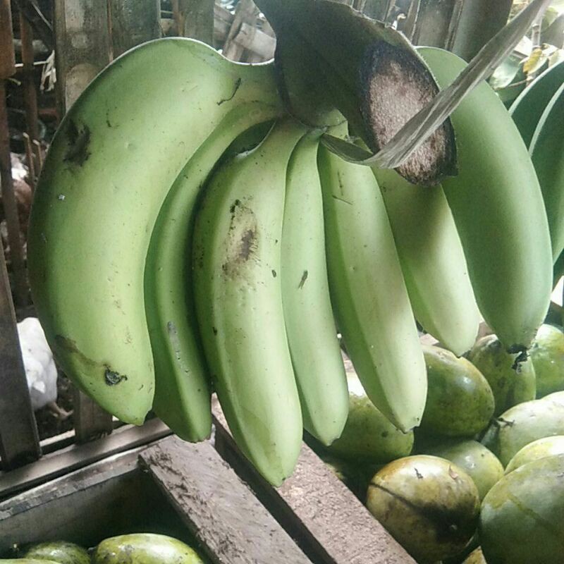 

pisang ambon