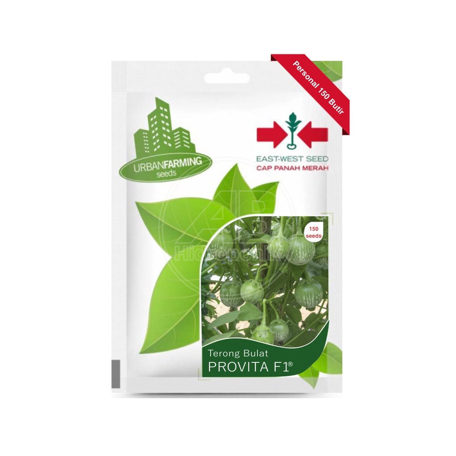 Benih Terong Lalap Bulat Hijau Provita F1 Cap Panah Merah 150 Butir