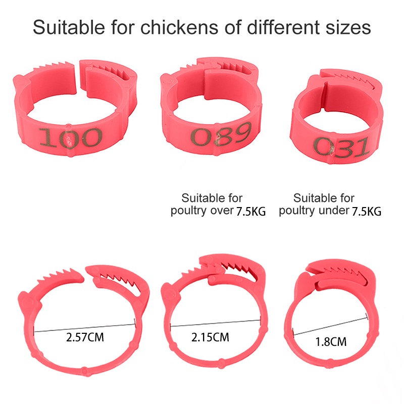 【100 pcs】Gelang Kaki Ayam/Cincin Kaki Ayam Adjustable/Cincin Kaki Ditarik/Cincin Kaki Unggas/Tanda Unggas Gesper