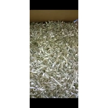 

berbagai macam ikan teri tawar dan asin..bisa impor luar negri stok bnyak.. .