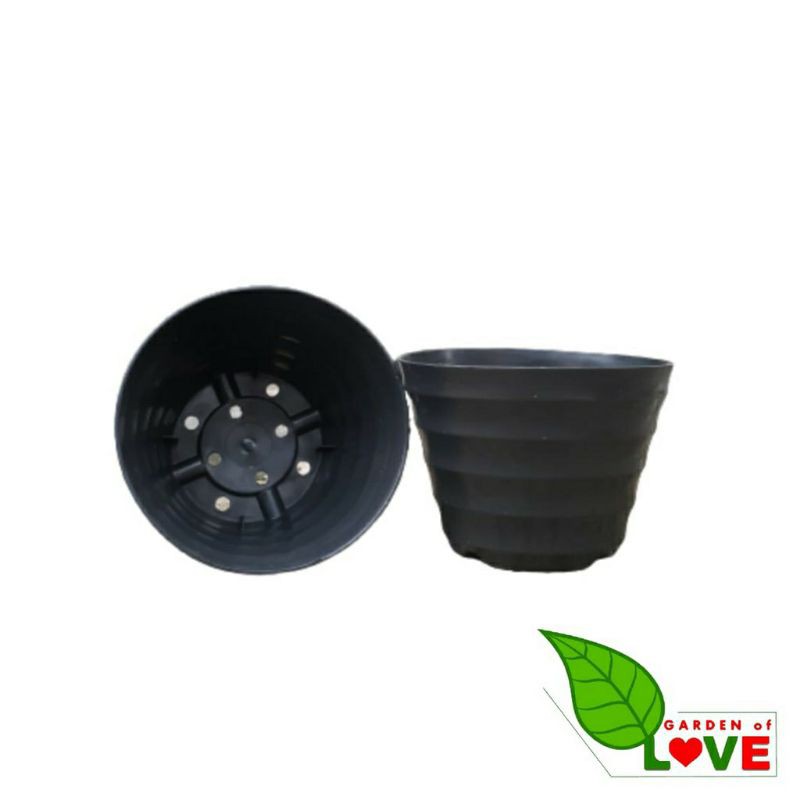 pot bibit Pot 12 pot Bunga Kopeng Hitam By Garden Of Love