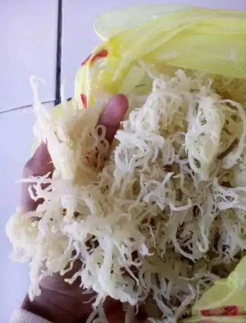 RUMPUT LAUT KERING PREMIUM 1 kG