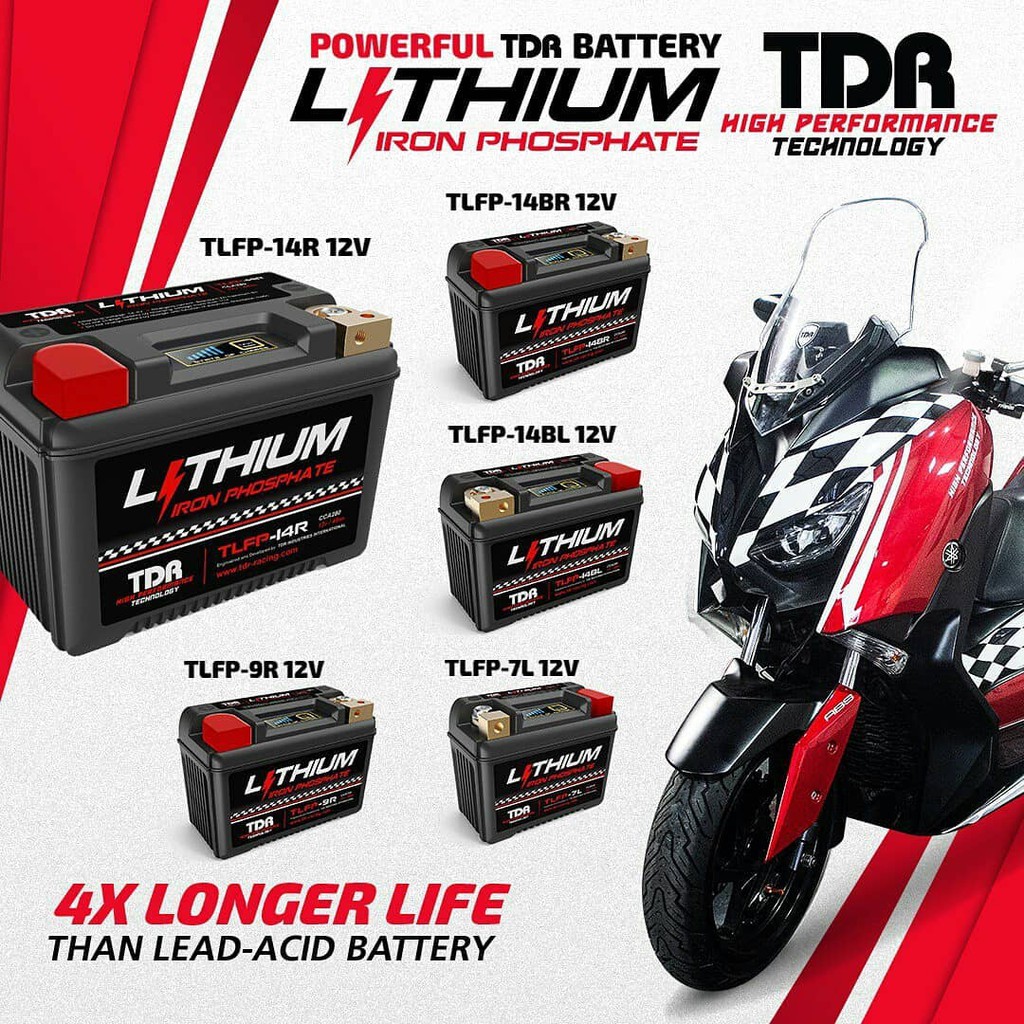 TDR Lithium Iron Phosphate (LiFePO4) Battery