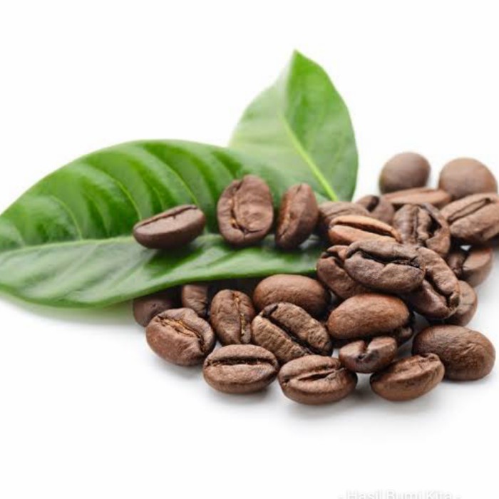Daun kopi segar pucuk 250 gram untuk teh dan minuman herbal Utk Parati Besar Chat Kami