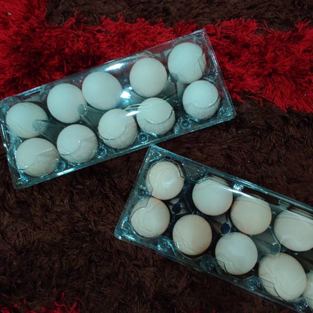 

Telur Omega 3 - 1 pax isi 10pcs