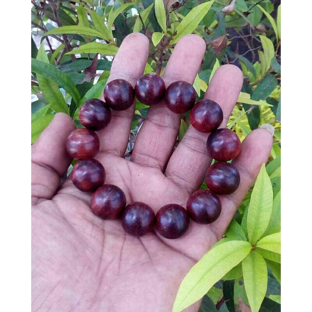 Gelang unik terlaris kayu GALIH NAGASARI CIREBON 16mm