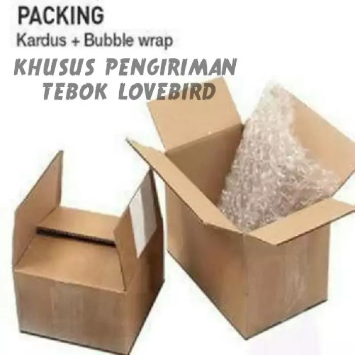 

packing tambahan duss plus bubble wrap untuk barang rawan pecah belah