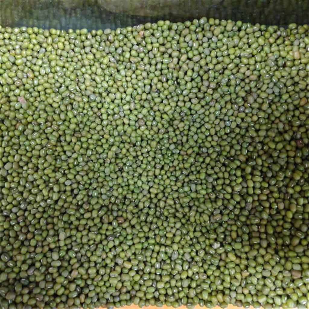 

Kacang Hijau 500Gram