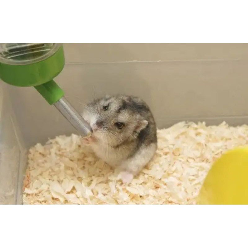 Serbuk Kayu Hamster, Lovebird 350gram, Alas Hewan