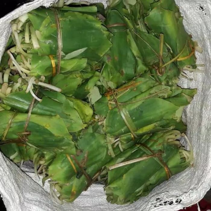 

Daun kencur segar 250 gram