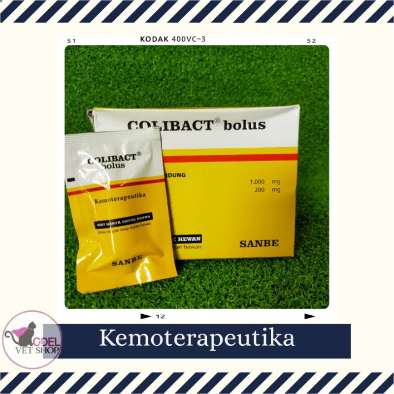 COLIBACT BOLUS SANBE FARMA