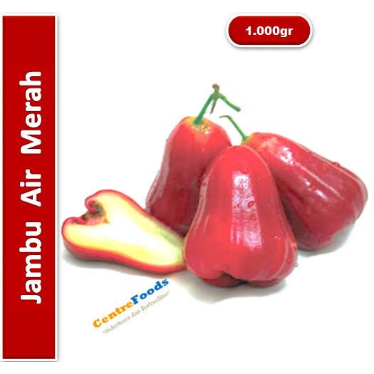 

Jambu Air Fresh | Cincalo | Citra [ Harga Per KG ]