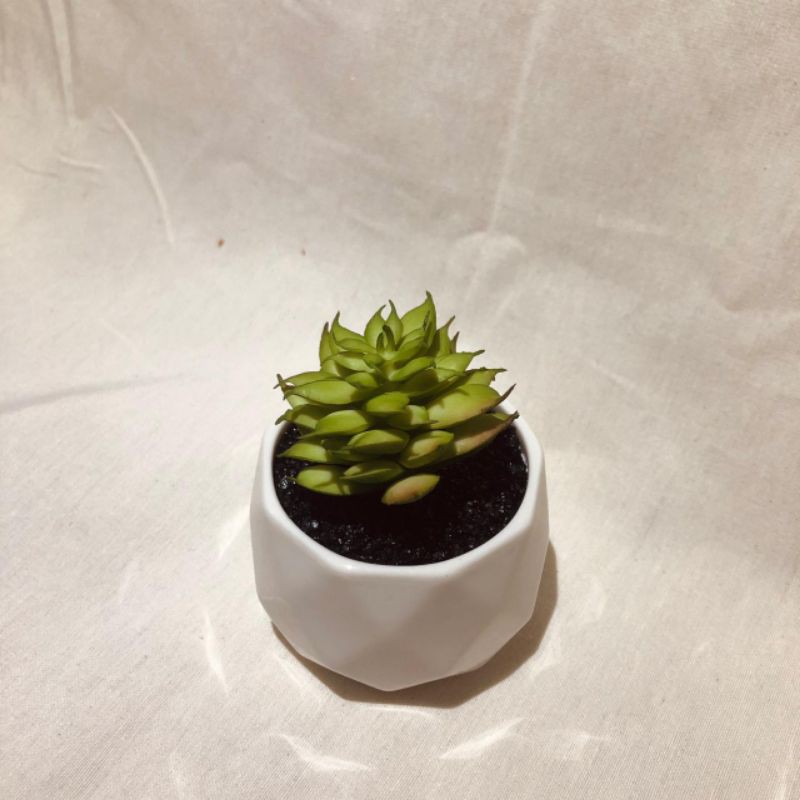 KAKTUS PLASTIK SUCCULENT ARTIFICIAL PLANT KAKTUS HIAS BUNGA HIAS KAKTUS BONSAI