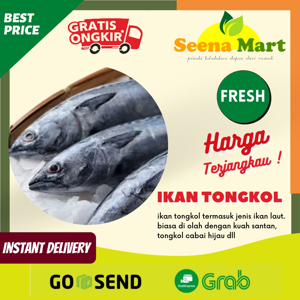 

Ikan Tongkol Seafood Ikan Laut Tongkol Pasar Lampung