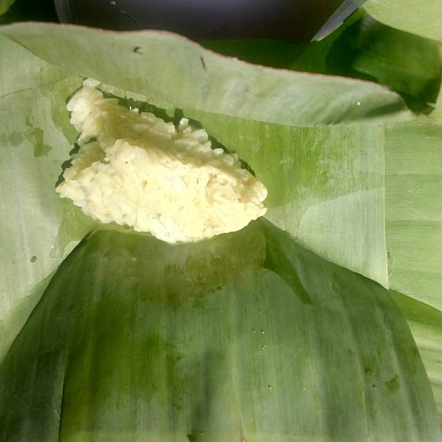 

Tape ketan daun SUPER MURAH