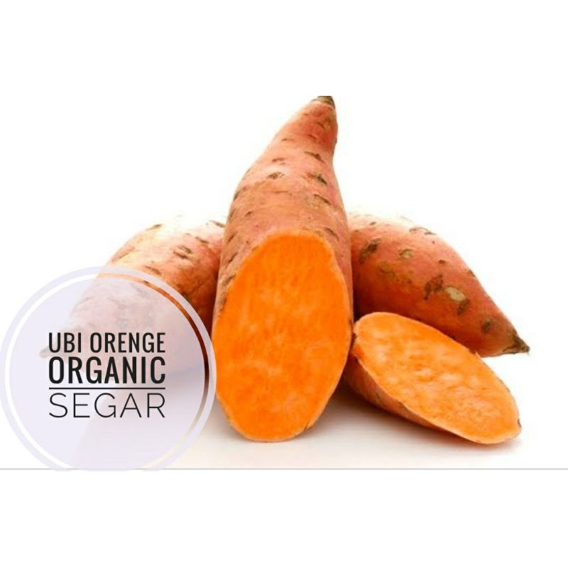 

UBI ORENGE SEGAR