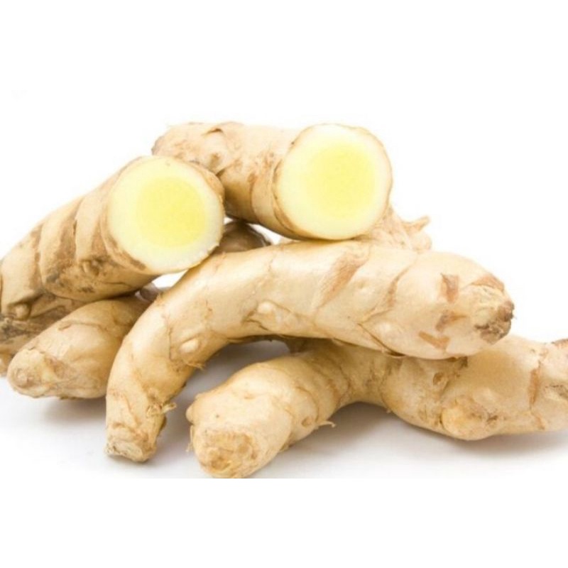 Kunyit Putih Fresh MURAH 5RIBU Banyak Manfaatnya