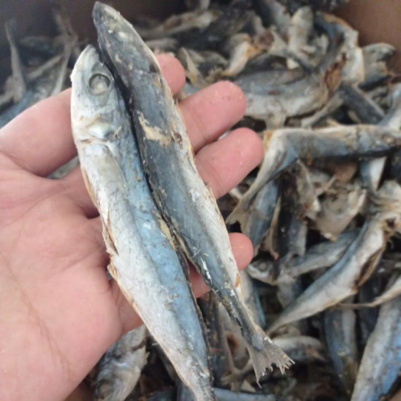 

Ikan Layang Rebus 1kg