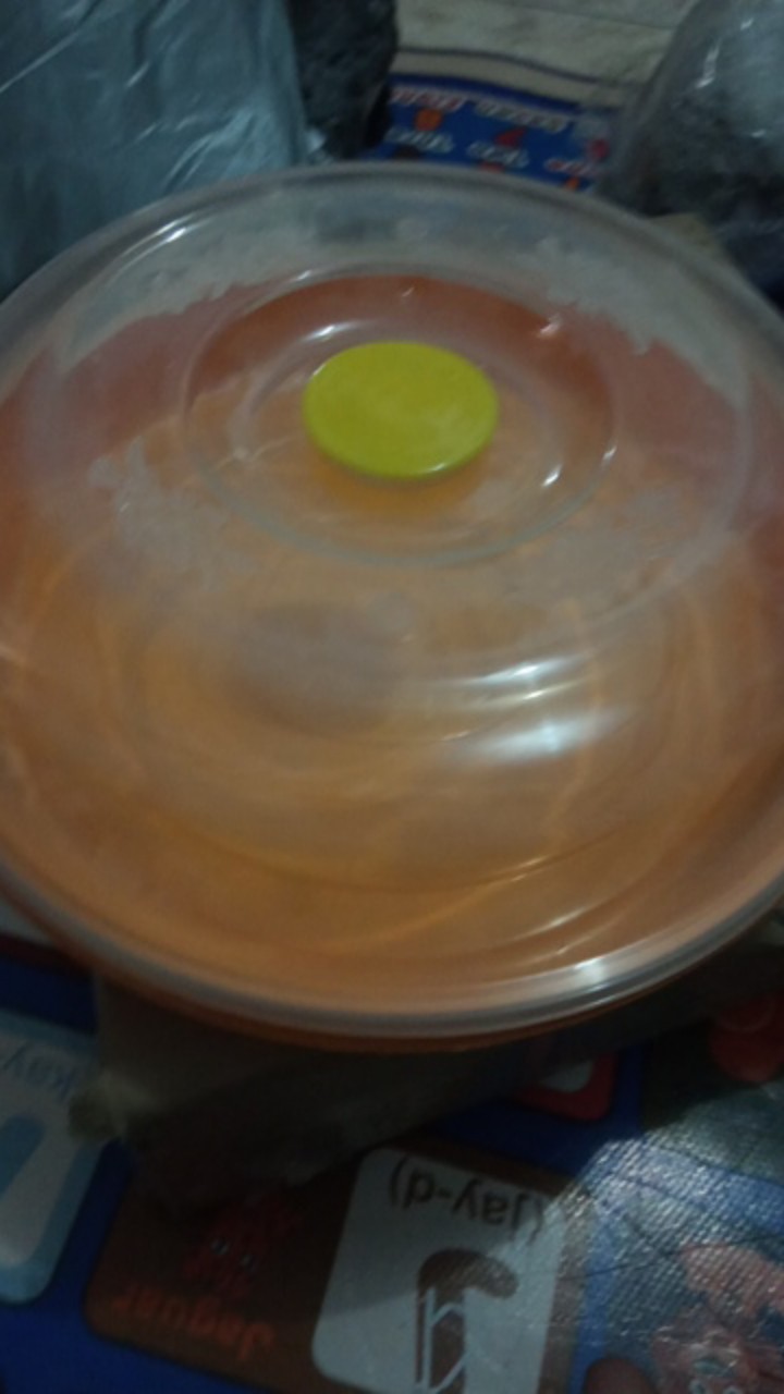 Tempat Bolu / Tempat Kue / Tempat Roti Bulat + Tutup Bening