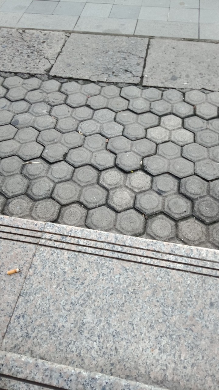 Bantal Sofa Motif Summer Breeze Tropical Forest