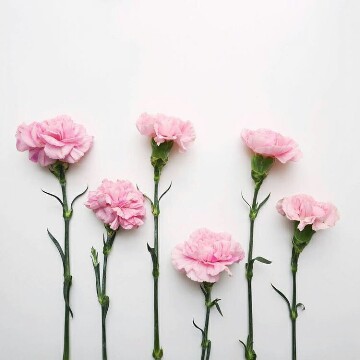 Sendok Makan Plastik Panjang Tiga Jeruk Isi 100pc