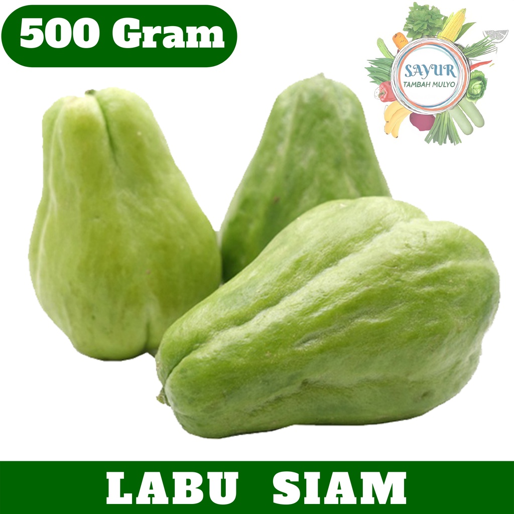 Jual Labu Siam Besar Segar Hijau 500 Gr Gram Murah Shopee Indonesia 