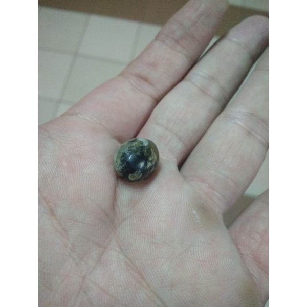 batu mustika sero / batu linsang / safir / pirus / bacan / mancing / umpan / batu fosil / mustika / 
