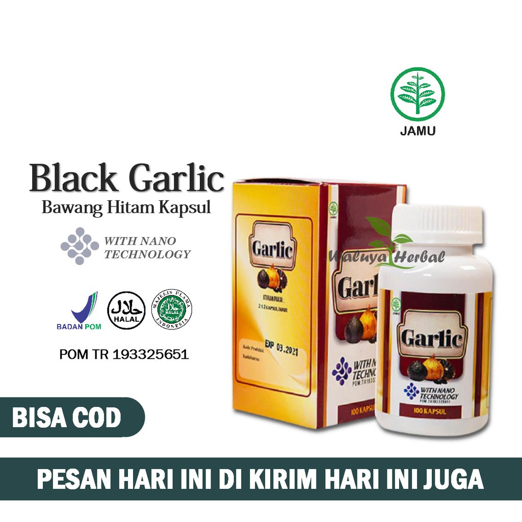 Jual Obat Pengencer Darah Kental Herbal Black Garlic Kapsul Shopee