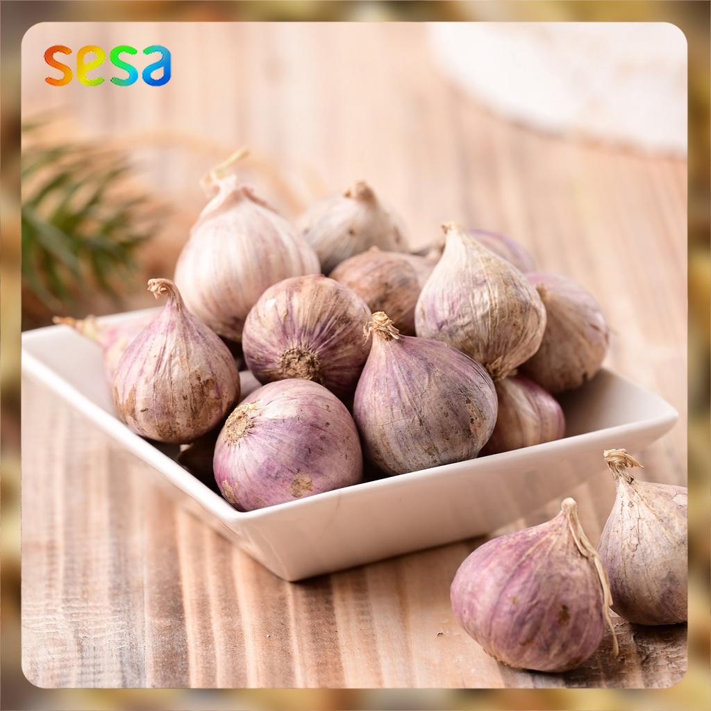 

BAWANG PUTIH Tunggal 100gr - Rempah-Rempah