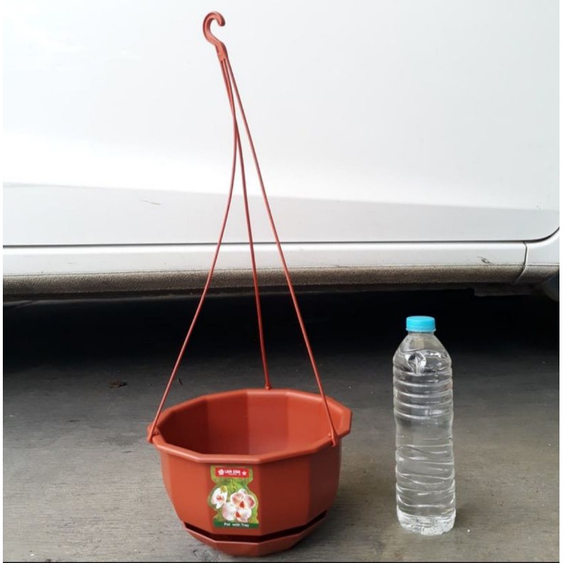 Pot gantung Lion star, pot bunga gantung, pot bunga gantung murah, pot gantung unik