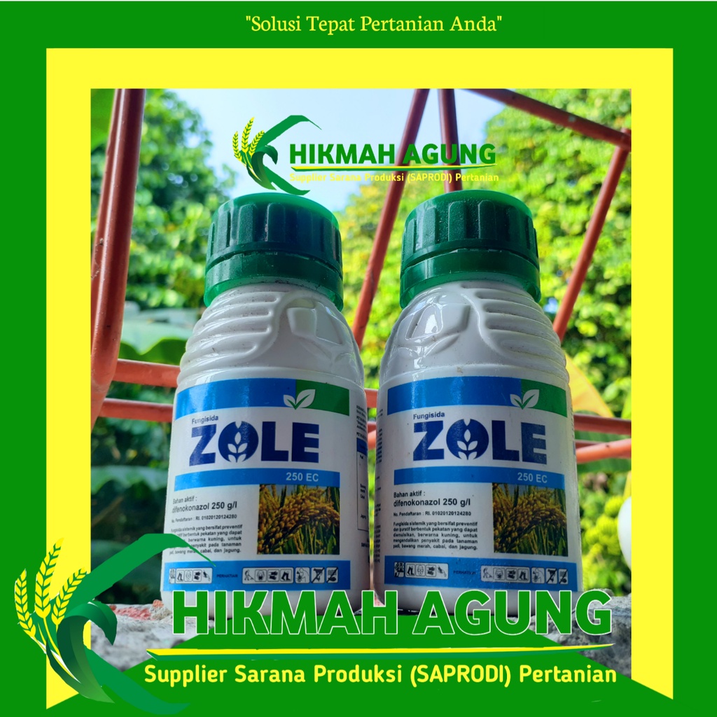 FUNGISIDA ZOLE 250EC 100ML