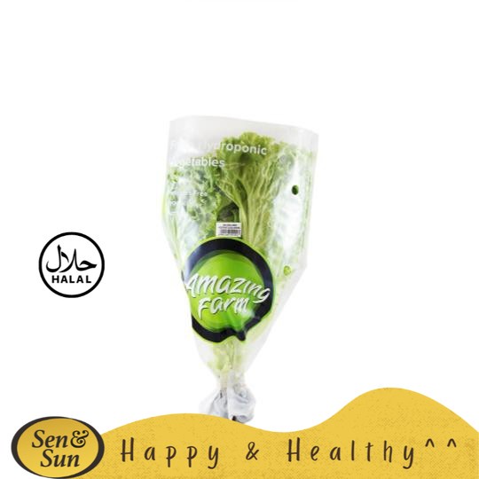 

Sen&Sun Hydroponic Romaine Lettuce 250 gr