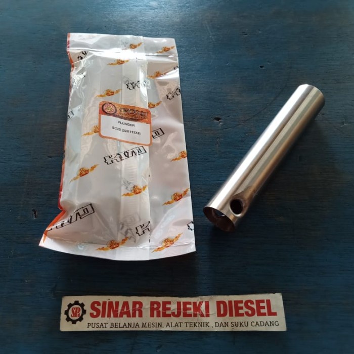 Piston Plunger Power Sprayer SC22 SC 22