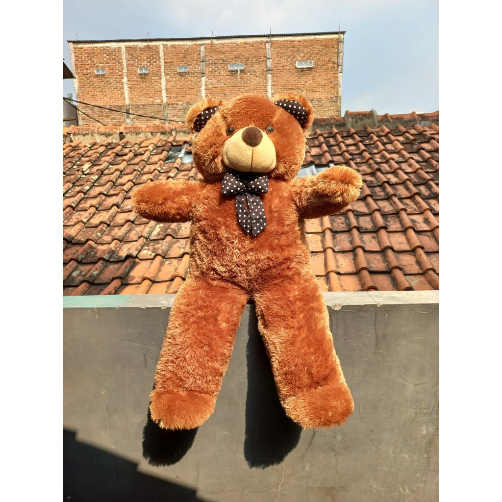 BONEKA TEDDY BEAR POLOSAN XXL |  BERUANG BESAR | BONEKA TEDDY BEAR 1 METER | TEDDY BEAR MURAH 1 METER