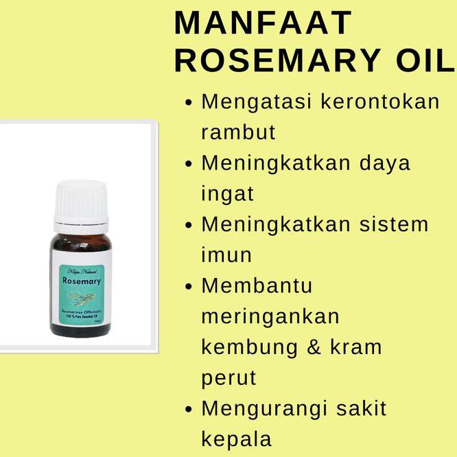 Rosemary Oil 100 Pure Essential Oil Grade A 10 Ml Minyak Rosemary Shopee Indonesia