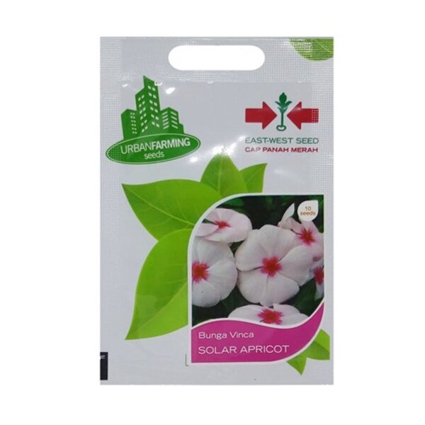 Benih Bibit Vinca Solar Apricot 10 Biji Bunga Tapak Dara Panah Merah
