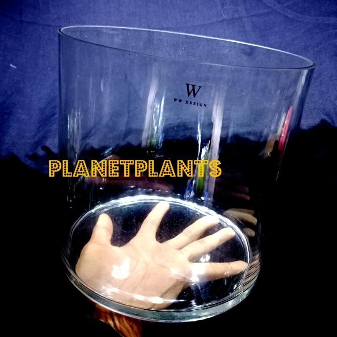 DLX BIG BAMBOO 300 TOPLES AQUARIUM BULAT AQUASCAPE PALUDARIUM