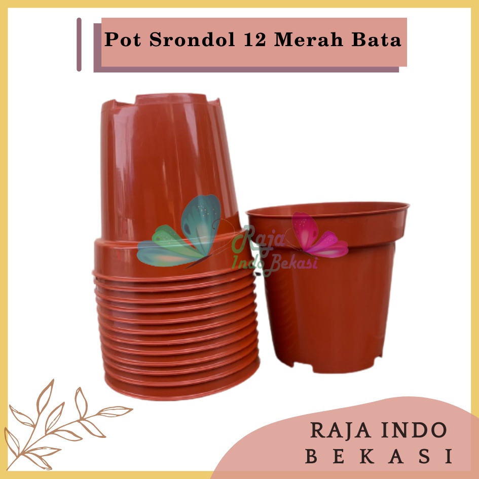 Pot Tinggi Srondol 12 Merah BataTerracota Terracotta Merah Coklat - Pot Tinggi Usa Eiffel Effiel 18 20 25 Lusinan Pot Tinggi Tirus 15 18 20 30 35 40 50 Cm Paket murah isi 1 lusin pot bunga plastik lusinan pot tanaman Pot Bibit Besar Mini Kecil Pot Srondol