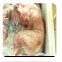 Karkas Daging Kelinci / Daging Kelinci Karkas / Daging Kelinci Utuh harga per kg